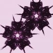 abstract flowers