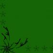 floral frame with green background