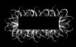 Horizontal frame with white ornament