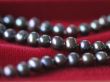 Black pearl necklace on red velvet