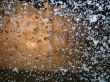 ice on glass