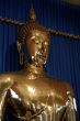 Golden Budda Head