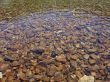 Water Lake and stones