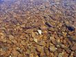 Water Lake and stones