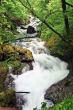  White River