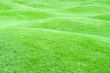 Green pastures 1