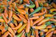 Yellow chili pepper