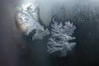 Frost drawings on window glass