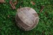 Old volleyball ball on grass