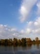 Summer sky. River bank with trees