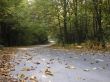The twisting path
