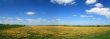 Spring panorama