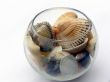 Sea cockleshells in a glass
