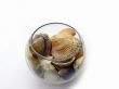 Sea cockleshells in a glass