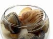 Sea cockleshells in a glass