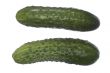 two green cucumbers