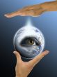 ecology, hands, responsibility