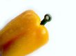 Yellow pepper