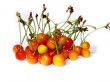 Cherries