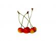 Cherries