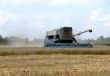 Harvest time