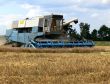 Harvest time