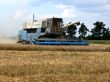 Harvest time