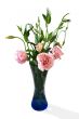 Bouquet of pink flowers in vase isolated