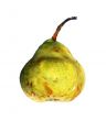 pear on a white background