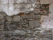 Stone wall. Ruins
