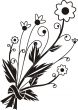 Field flowers