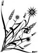 Field flowers