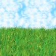 grass sky