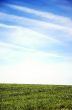 Empty landscape