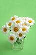 marigolds