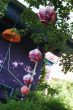 Hanging lanterns.