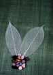 Transparent leaf and small stones