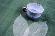 Pottery cup and pretty spring leaves
