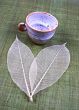 Pottery cup and leaves