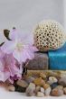 Coral on soap with pebbles and flowers