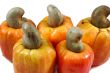 cashew
