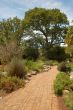 Kirstenbosch