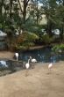 Park at Cape Town