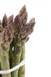 asparagus