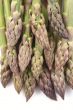 asparagus