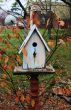 Bird box