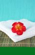 Fragapani flower candle