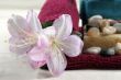 Spa products close-up