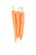 fresh carrots