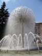 The Fountain